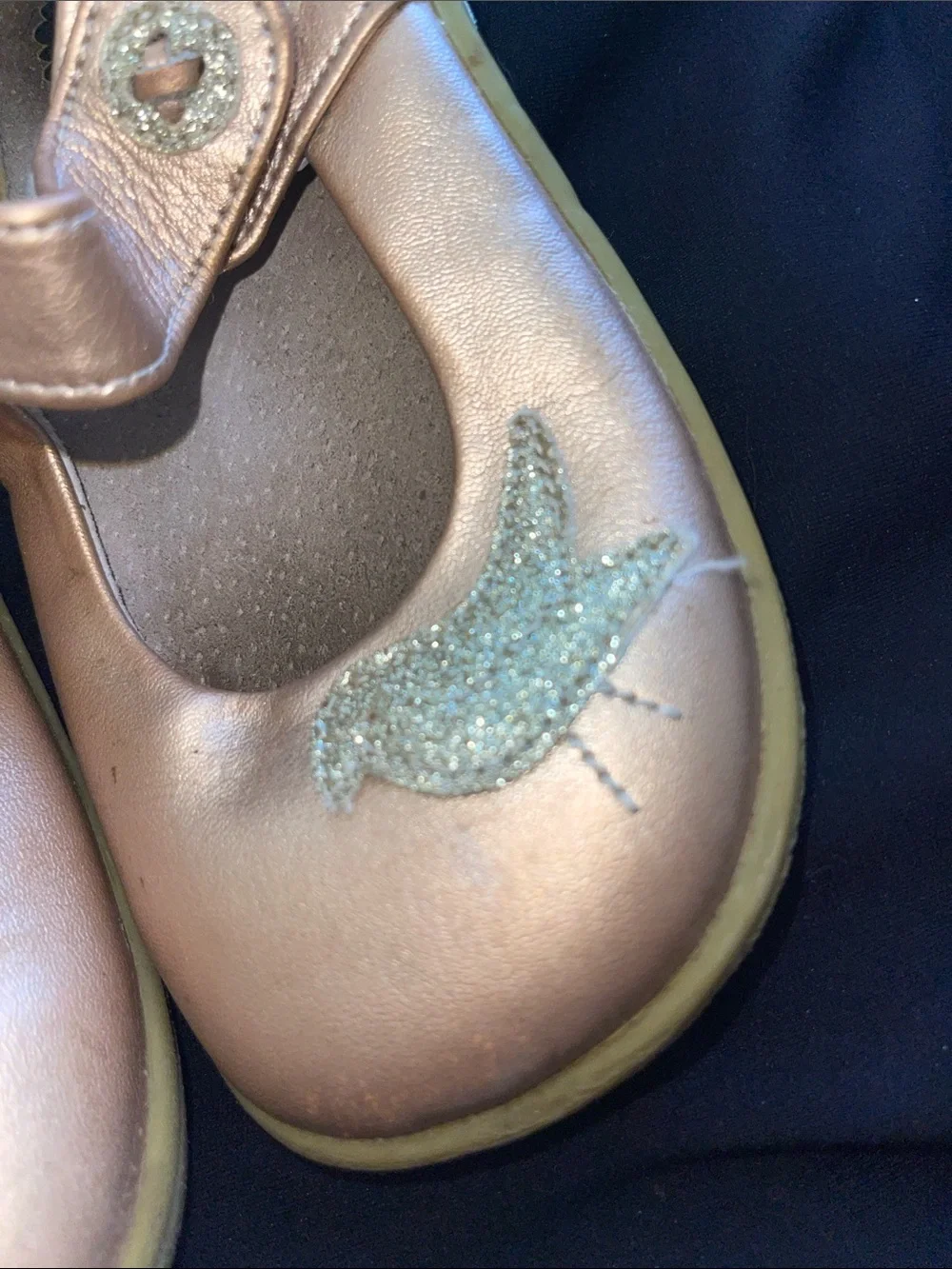 Livie and Luca Girls Metallic Rose Gold Mary Jane Shoes with Bird Detail
